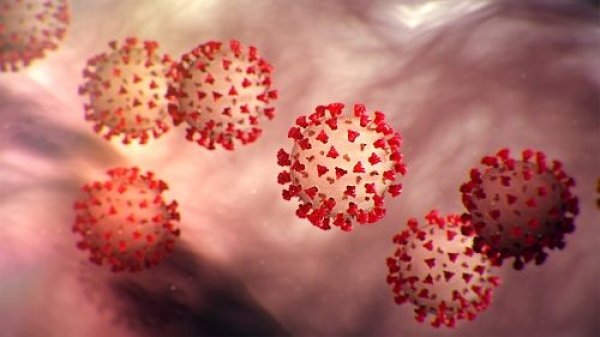 "&Alpha;&upsilon;&tau;ά &pi;&omicron;&upsilon; &lambda;έ&nu;&epsilon; &epsilon;ί&nu;&alpha;&iota; &kappa;&alpha;&theta;&alpha;&rho;ή &gamma;&rho;&alpha;&mu;&mu;ή &tau;&omicron;&upsilon; &Beta;&alpha;&tau;&iota;&kappa;&alpha;&nu;&omicron;ύ" &pi;. &Sigma;&tau;&upsilon;&lambda;&iota;&alpha;&nu;ό&sigmaf; &Kappa;&alpha;&rho;&pi;&alpha;&theta;ί&omicron;&upsilon;